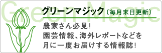 グリーンマジック（毎月末日更新）