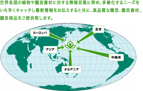 世界中の植物や園芸商材に対する知識向上に努め、日本の生産者様に対して、最新情報を伝えると共に、良質な種苗・商材を提供致します。